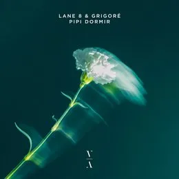 Pipi Dormir von Grigoré – Cover