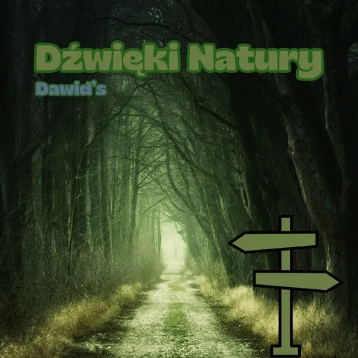 Dżwięki Natury (Deszczowy Las)
