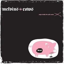 Sugar Daddy Live Split Series, 2 von Cows – Cover