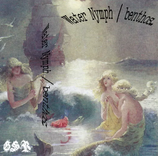 Water Nymph / Benthos.. Split