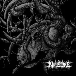 Marrow Leech von Mire Lore – Album Cover