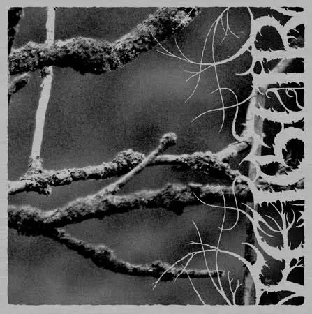 II, Desolation