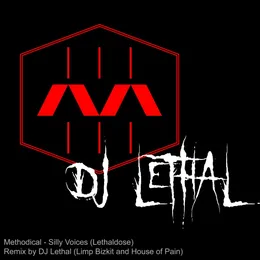 Silly Voices (DJ Lethal remix) von Methodical – Cover