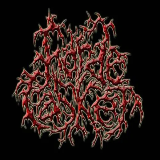 Promo 2008