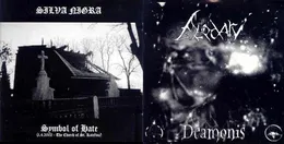 Symbol of Hate / Deamonis von Blodarv – Album Cover