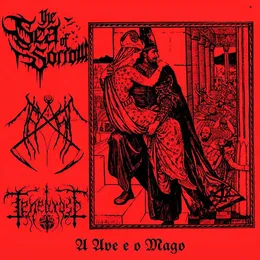 A Ave e o Mago von Tenebroso – Cover