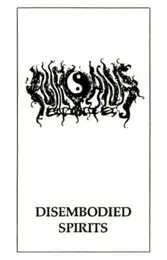 Disembodied Spirits von Nirvana 2002 – Cover