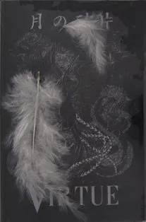 月の破片