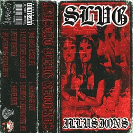 ILLUSIONS von SLVG – Album Cover