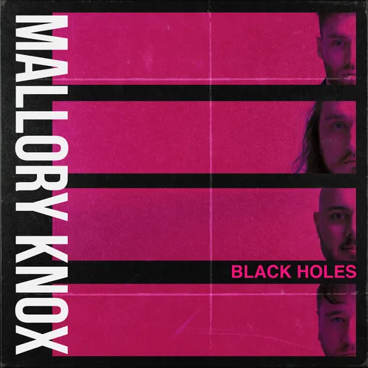 Black Holes