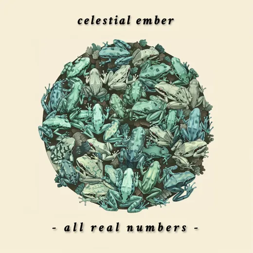 All Real Numbers