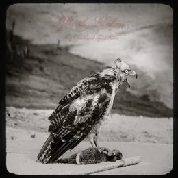 Way Down and Far Below von Blind Melon – Album Cover