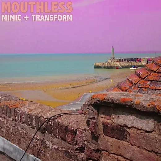 Mimic + Transform
