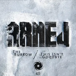 The Burrow / This Isn’t Goodbye von Arnej – Album Cover