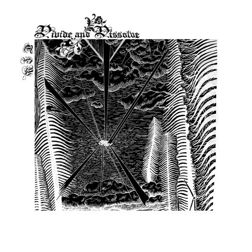 TFW von Divide and Dissolve – Cover