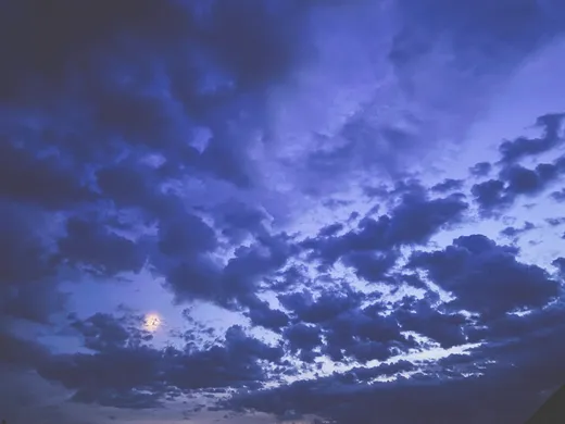 flooded dusk of the summer night