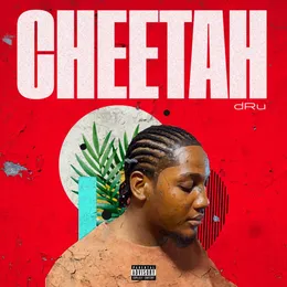 Cheetah von dRu – Cover