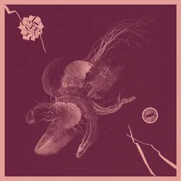 Now That You’ve Found It von Aaron Turner – Album Cover
