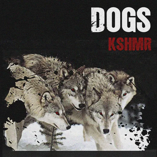 DOGS
