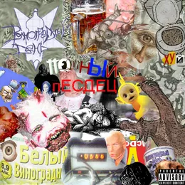 Полный Песдец von Виноградный день – Album Cover