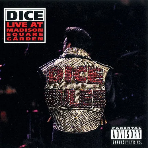 Dice Rules