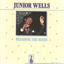 Pleading the Blues von Buddy Guy – Album Cover