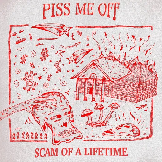 Scam Of A Lifetime