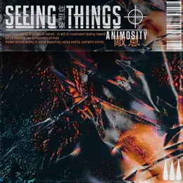 Animosity von Seeing Things – Cover