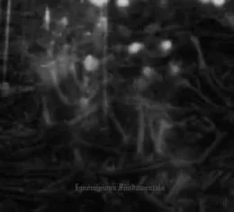 Ignominious Fundamentals von Dark Opus – Cover