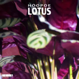 Lotus von Hoopoe – Cover