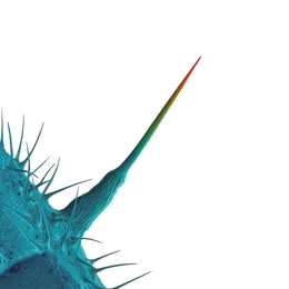 And I’ll Scratch Yours von Peter Gabriel – Album Cover