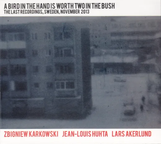 A Bird in the Hand Is Worth Two in the Bush (The Last Recordings, Sweden, November 2013)
