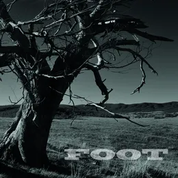 Foot von Foot – Album Cover
