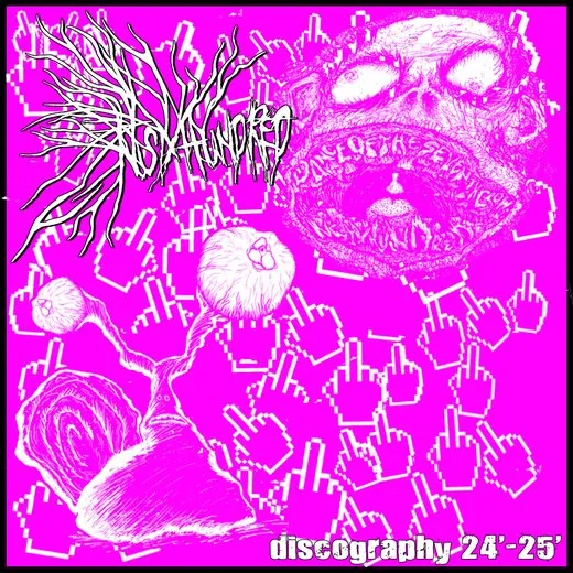 Discography '24-'25
