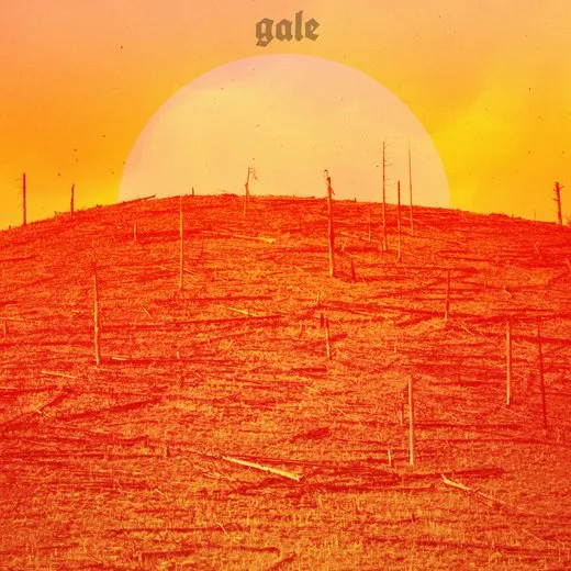 Gale