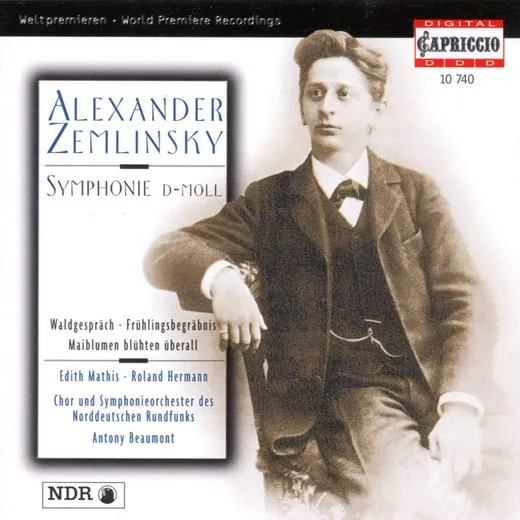 Symphonie d-moll / Waldgespräch / Frühlingsbegräbnis / Maiblumen blühten überall
