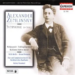 Symphonie d-moll / Waldgespräch / Frühlingsbegräbnis / Maiblumen blühten überall von NDR Vokalensemble – Album Cover