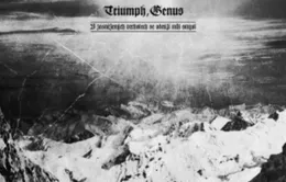 V zasněžených vrcholech se odráží můj smysl von Triumph, Genus – Cover