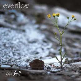 Élni kell von Everflow – Album Cover