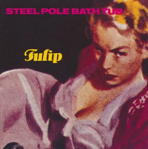 Tulip
