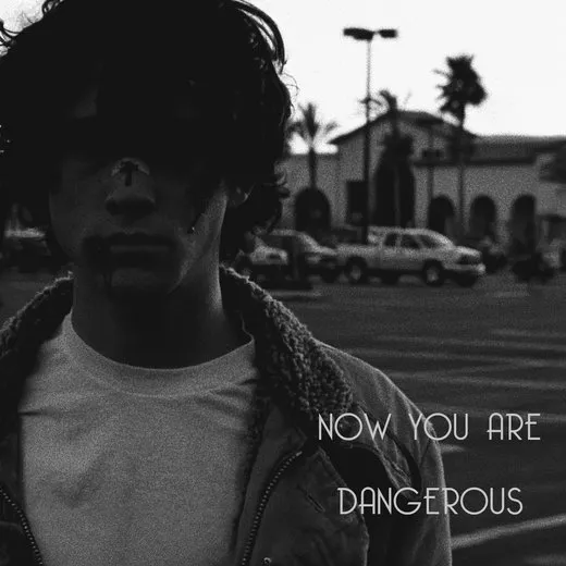 Now You Are Dangerous