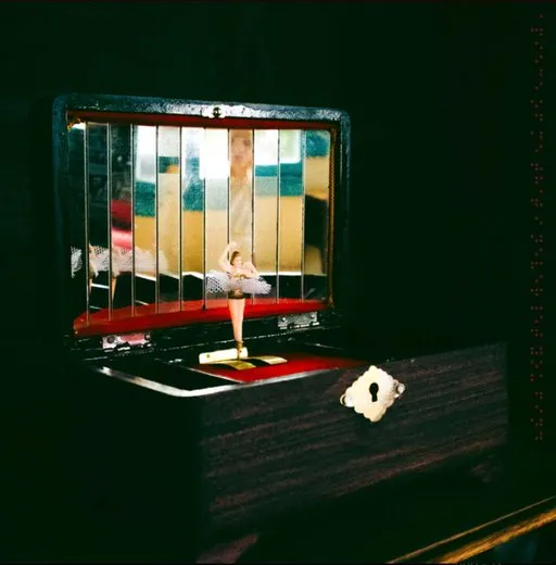 Permanence in Sleep