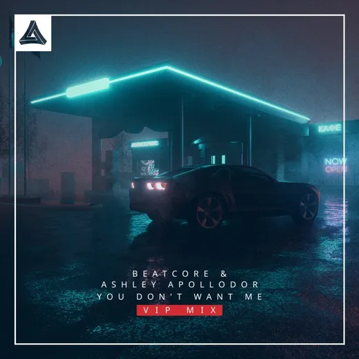 You Don't Want Me (VIP mix)