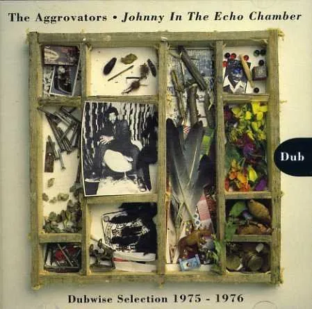 Johnny in the Echo Chamber