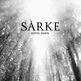 Novel Dawn von Sarke – Cover
