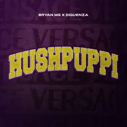 HUSHPUPPI von Bryan Mg – Album Cover