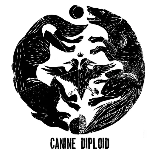 Canine / Diploid