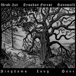 Kingdoms Long Gone von Druadan Forest – Album Cover