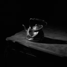 Tragic von Cryptodira – Cover
