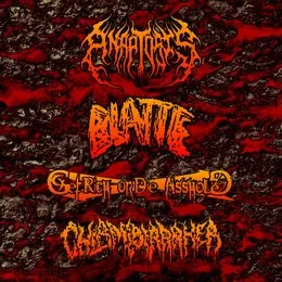 Anaptosis / Blatte / Get Rich Or Die Asshole / Chlamydiarrhea Split von Blatte – Cover